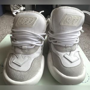 Off White shoes comes with the box